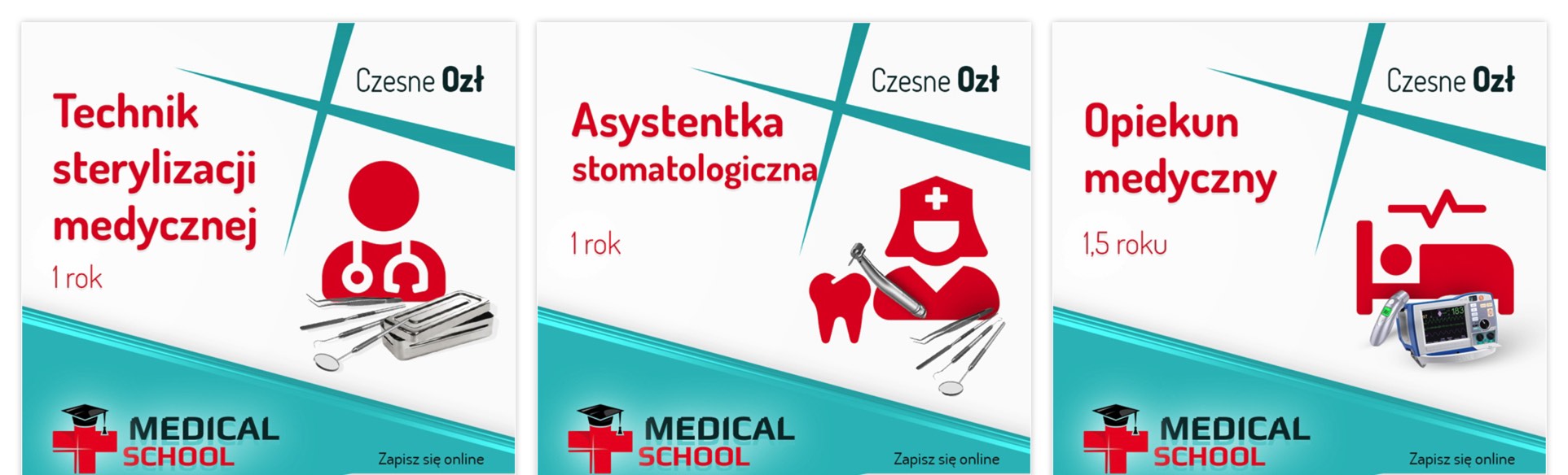 Medical School - Kierunki kształcenia